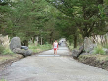 Paseo de los Pioneros