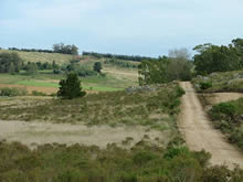 Paseo de los Pioneros