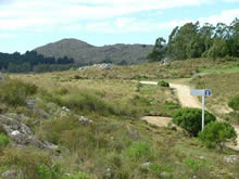Paseo de los Pioneros