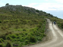 Paseo de los Pioneros