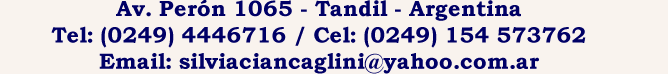 Casa de Alquiler Temporal en Tandil - La Casa de Angel y Hermelinda - Tandil