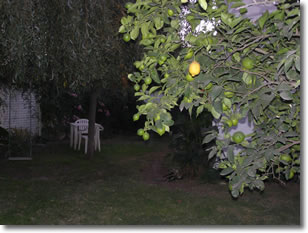 La Casa de Inés - Tandil