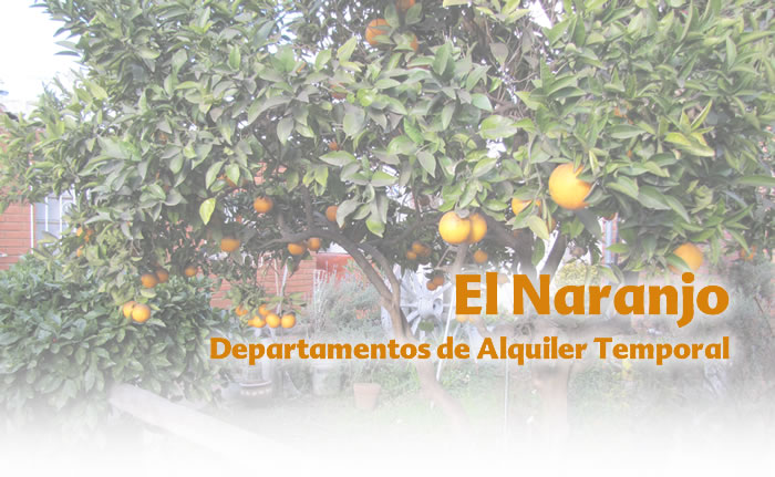 Departamento de Alquiler Temporal en Tandil - El Naranjo
