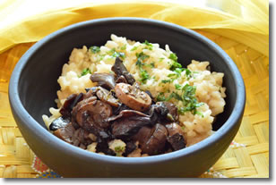 Dietética La Fuente - Almacén Natural y Alimentos saludables en Tandil